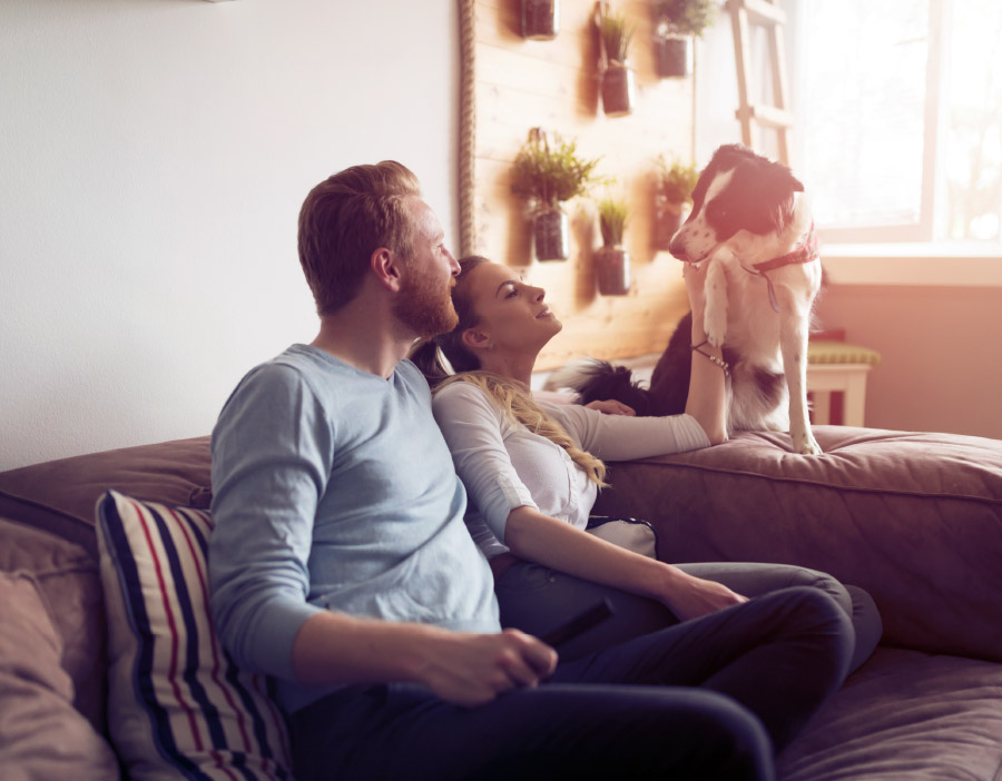Clients Testimonials Happy Family with a dog Image